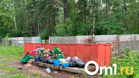 Пожар на скандальной свалке на Малыгина ликвидируют в Новосибирске