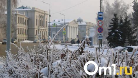 Циклонический вихрь принесёт в Омск лютые морозы до -39 градусов