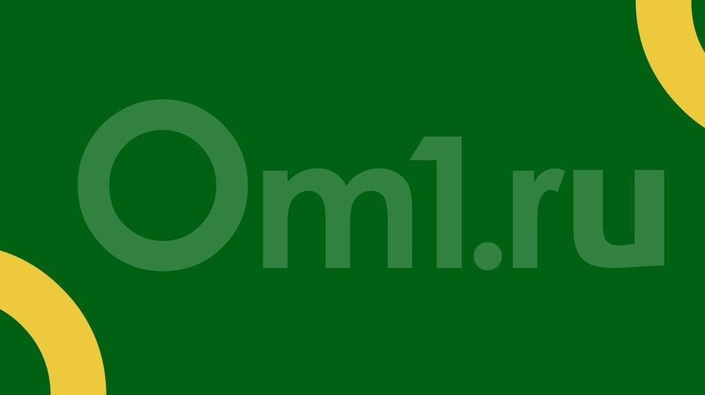 Новосибирские депутаты отчитались о яхтах за 10 млн рублей