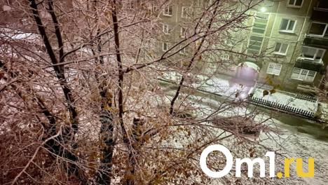 В Омске побит температурный рекорд полувековой давности