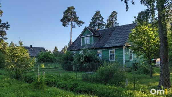 Грибные болезни и клещ: как уничтожить заразу на даче и спасти будущий урожай