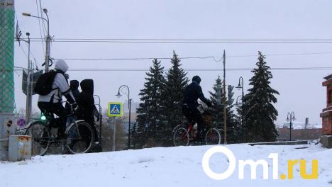 В Омской области продлили штормовое предупреждение об аномальных морозах