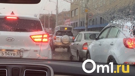Завтра в Омске пройдут сплошные проверки водителей на трезвость