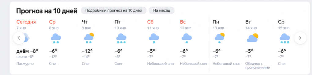 Снежные завалы обещают синоптики новосибирцам в начале января 2025 года
