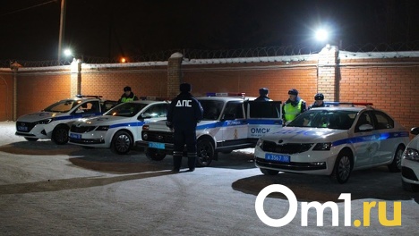 Сбил и скрылся: омские полицейские ищут водителя, насмерть задавившего пешехода
