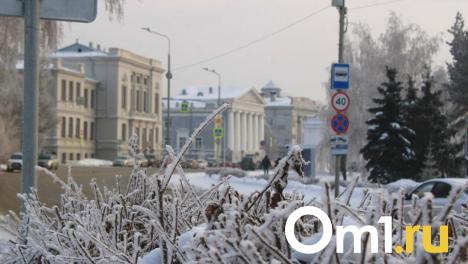 Туманы и морозы: омичей ждут изменения погоды в середине марта