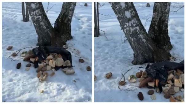 Парк в новосибирском Кольцово закидали просрочкой