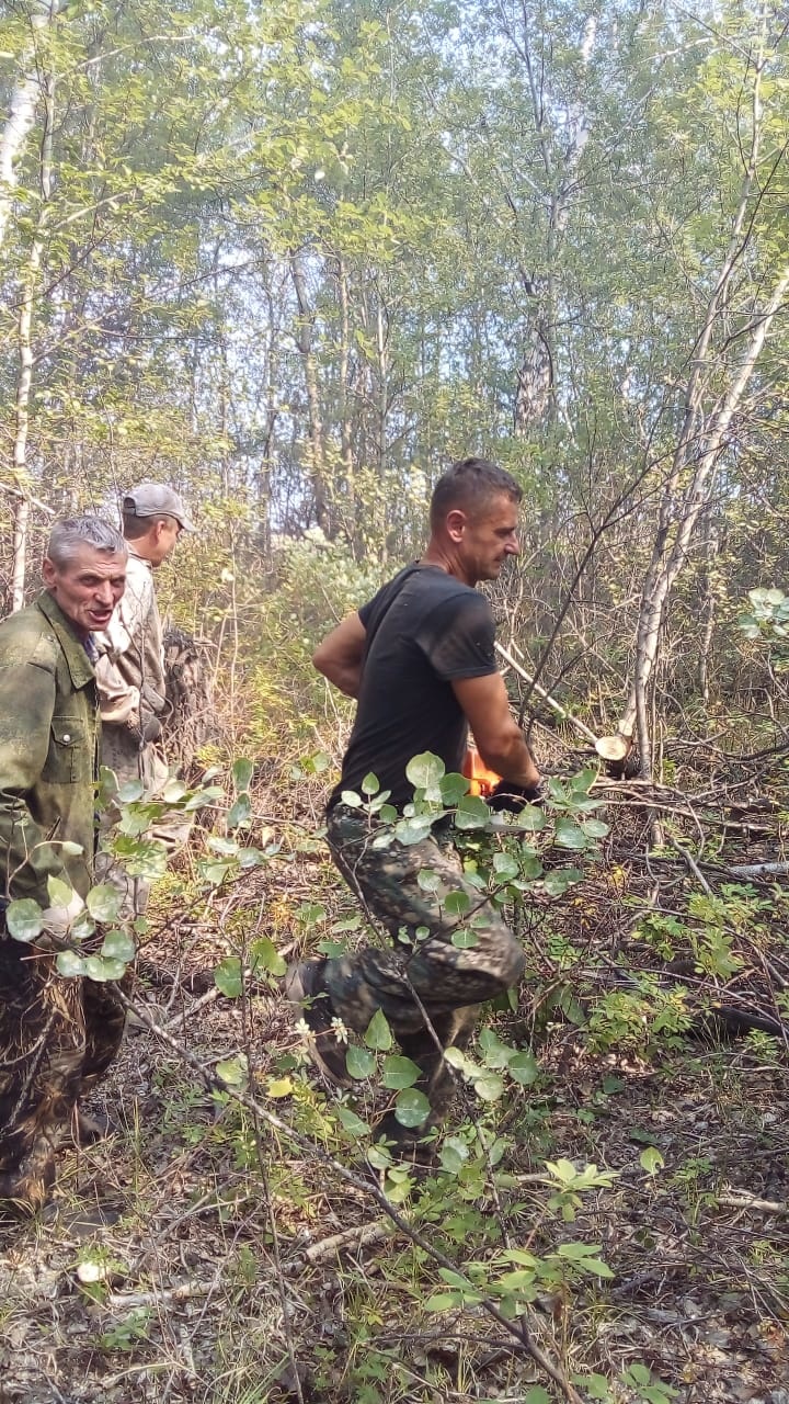 «Может, кто-то окурок бросил?»: в Омской области загорелся лес