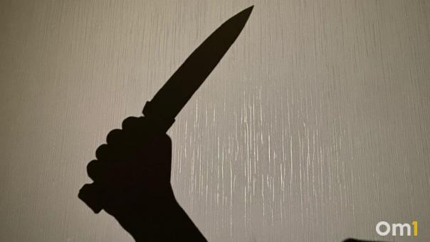 Ножевые ранения в ссоре: новосибирец арестован за покушение на жену