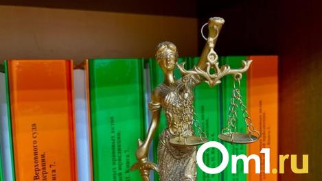 Суд вынес приговор пьяному водителю, сбившему пешехода в Новосибирске