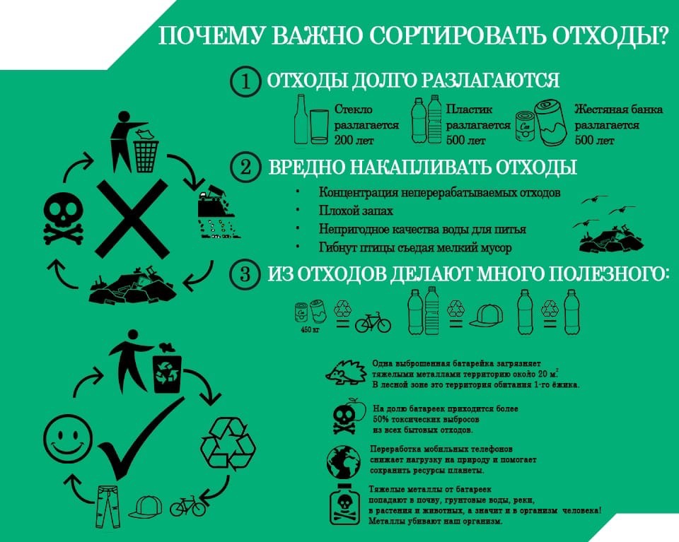 Омские экоактивисты открывают бесплатный пункт приёма вторсырья