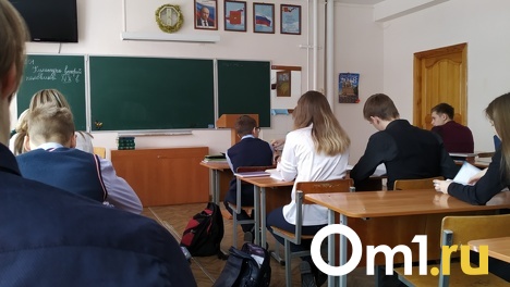 Из-за морозов больше 1600 детей в Новосибирской области не смогли попасть в школу