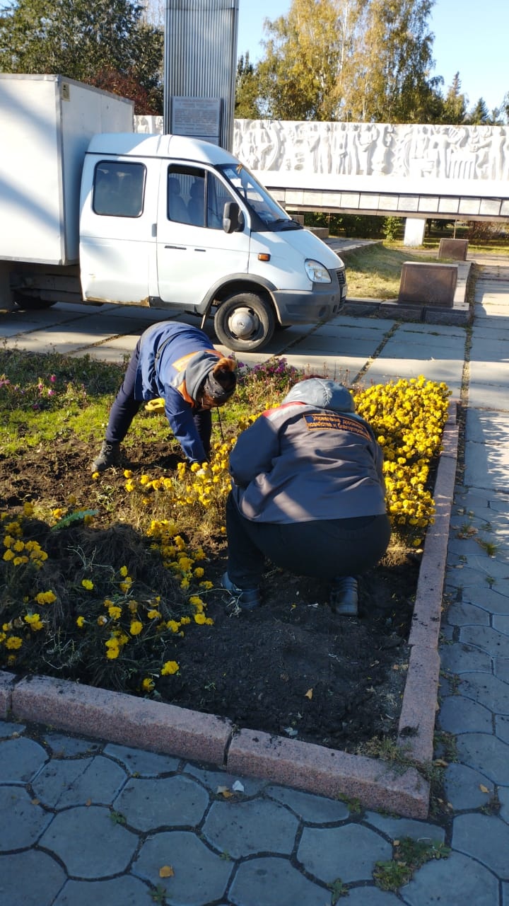 Омск покидают краски: городские клумбы очищают от цветов (Фото)