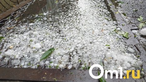 Фото града размером с перепелиное яйцо опубликовала жительница Новосибирска