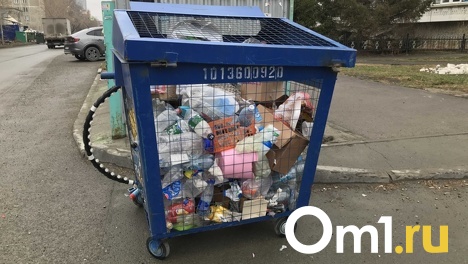 «Экологии-Новосибирск» пригрозили разрывом договора из-за проблем с вывозом мусора