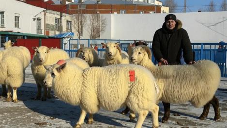 Стало известно, где пройдут массовые жертвоприношения в Новосибирске