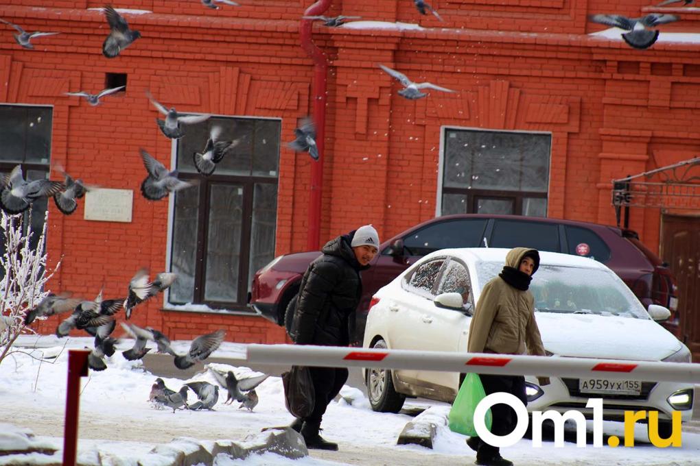 Иней превратил Омск в зимнюю сказку: посмотрите, как красиво