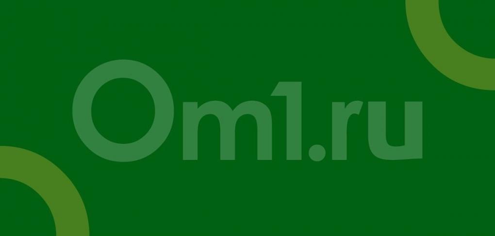 Изменения в положении о нестационарных объектах рассмотрели на комиссии горсовета Новосибирска