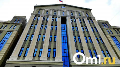 Омич, нанявший киллера для жены, добился смягчения приговора