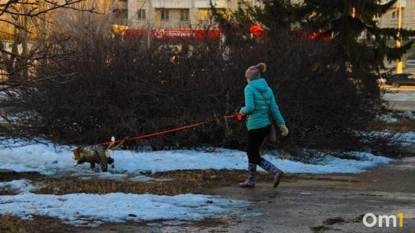 Жительницы Новосибирска обвиняют друг друга в потопах