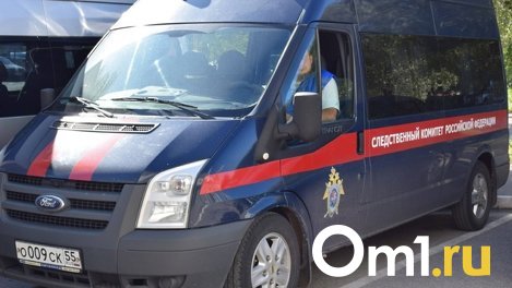 Уголовное дело возбуждено из-за травмирования девочки в веревочном парке
