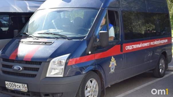 Уголовное дело возбуждено из-за травмирования девочки в веревочном парке