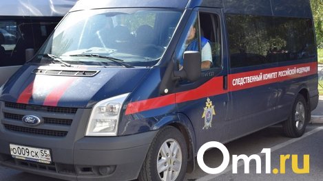 Бастрыкин одобрил возбуждение уголовного дела на экс-судью из Новосибирской области