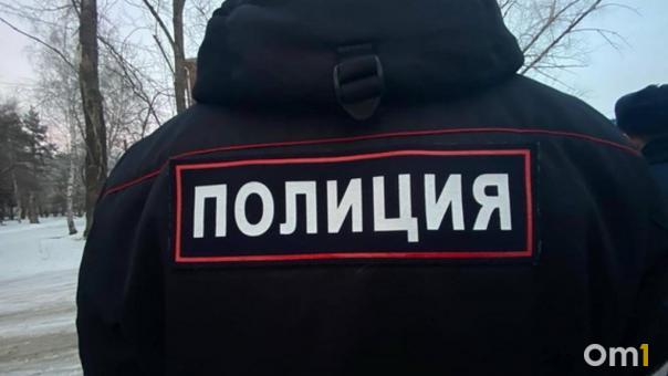 Пожилой мужчина, которого искали в Омске, провалился под лёд