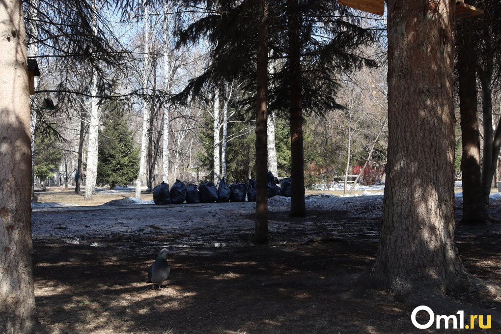 В Новосибирске прошёл общегородской субботник — показываем, насколько стали чище улицы
