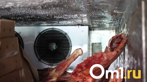 Более полутонны изделий из мяса неизвестного происхождения обнаружили в Омске