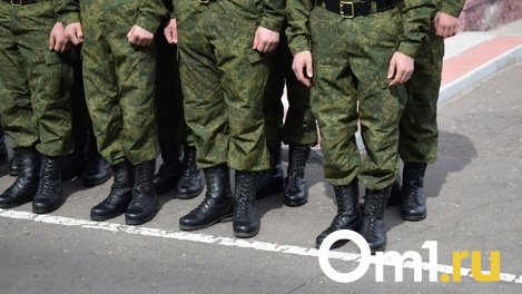 В военкомате Новосибирской области прокомментировали мобилизацию многодетного отца