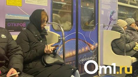 Суд вынес приговор женщине за мошенничество на маркетплейсе под Новосибирском