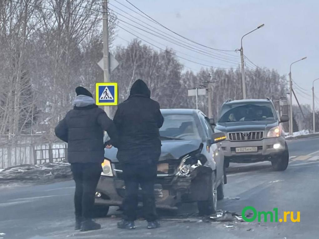 Омск переживает нашествие косуль: их массово сбивают на дорогах