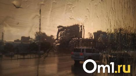 Град и ливни вдобавок к паводку: на Омск снова движется непогода