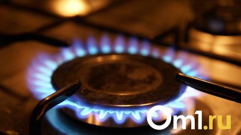 В Омской области нашли девять бесхозяйных газопроводов