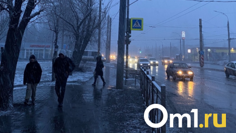 Регионы России заметает снегом. Придёт ли он в Омск?