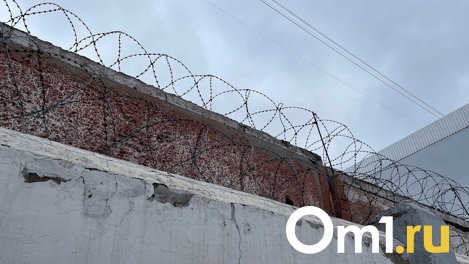 В следкоме рассказали подробности нападения на женщину у дачного посёлка в Омске