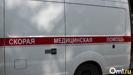 По дороге из Омска ВАЗ влетел в «Мерседес» - один водитель погиб