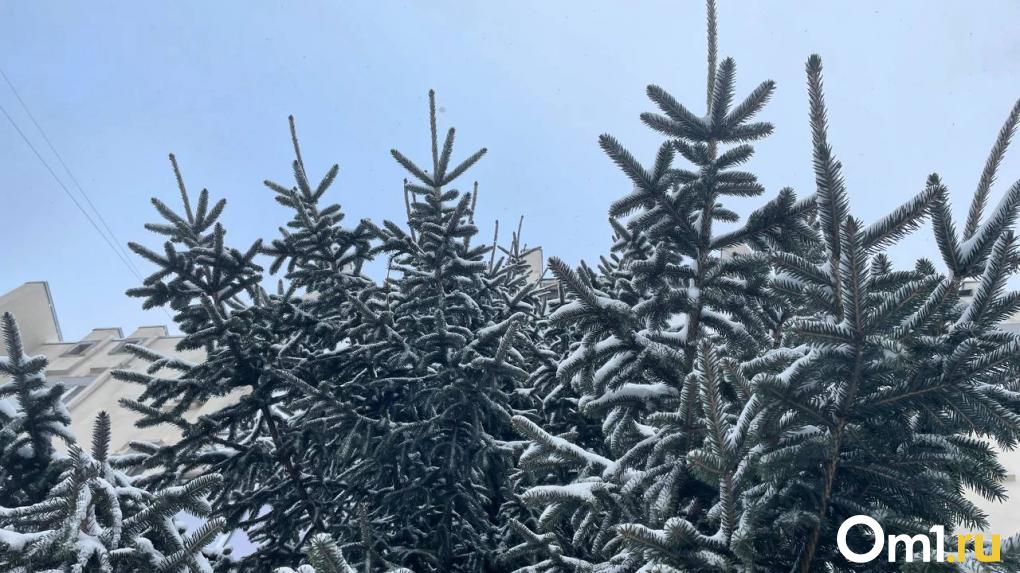 В Омск пришла зима. Последствия мощного ночного снегопада