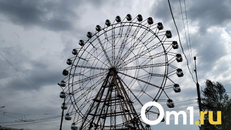 Глава Гидрометцентра РФ Вильфанд предупредил о заморозках в Новосибирской области
