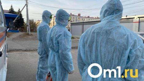 Перед Новым город в Омской области один человек умер от коронавируса