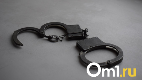 В Новосибирске спасатели освободили от наручников молодую девушку