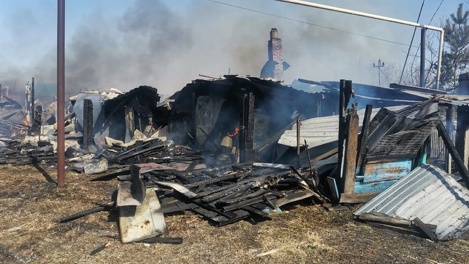 Остался без крыши над головой: новосибирский пенсионер сжёг дом во время пала травы. ВИДЕО