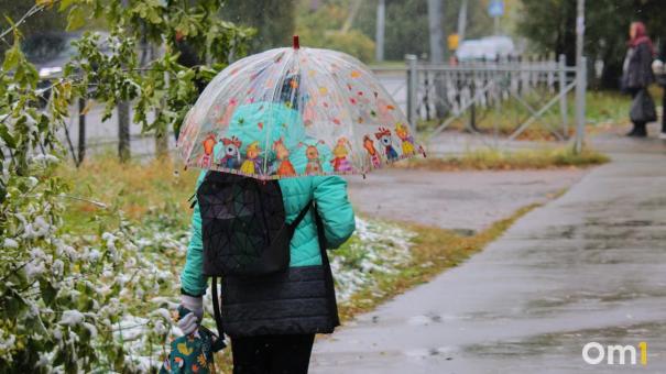 Снег с дождём и гололёд: синоптики рассказали о погоде на выходных в Омске
