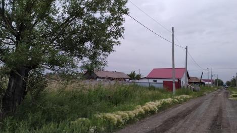 Глава Минсельхоза Омской области Дрофа рассказал об уборочной кампании в регионе