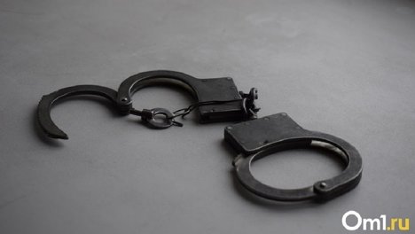 Задушил и сжёг её: новосибирец, зверски убивший бабушку, предстал перед судом