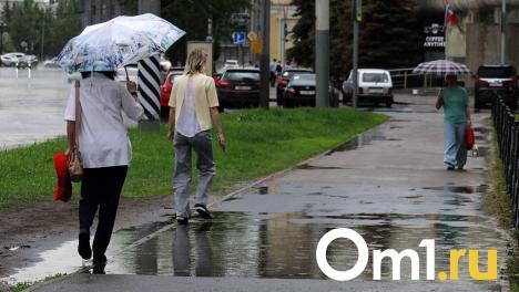 Грозы и сильный ветер: омичей ожидает дождливая неделя