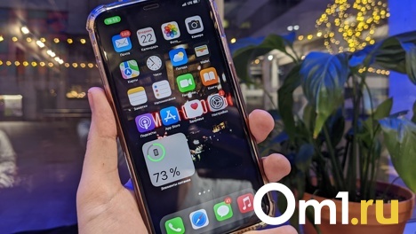 Как омичу пользоваться Instagram* и Facebook*, не попав под уголовную ответственность? Инструкция