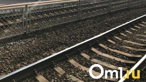 Новосибирские дачники переходят пути под колесами поездов: объяснили, почему так безопаснее