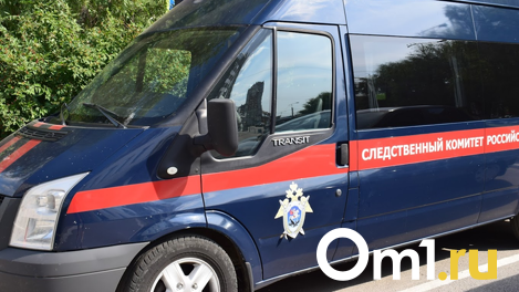 В Новосибирске арестовали главу службы безопасности художественного музея